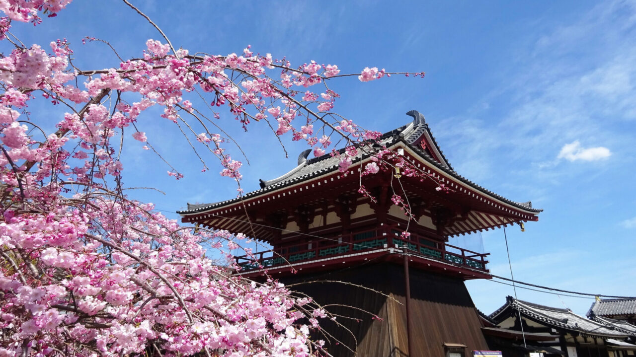 四天王寺中学・四天王寺高校